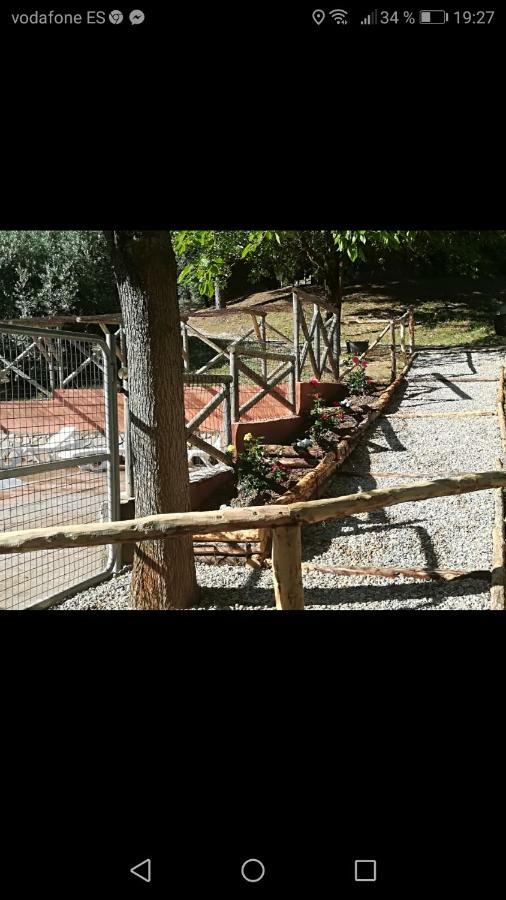 Cabanas Rurales La Vega Burunchel Ngoại thất bức ảnh
